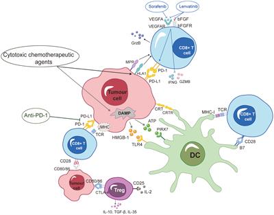 The worthy role of hepatic arterial infusion chemotherapy in combination with anti-programmed cell death protein 1 monoclonal antibody immunotherapy in advanced hepatocellular carcinoma